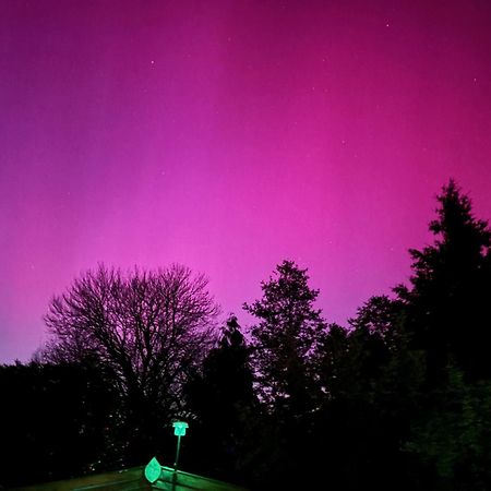 Forsthaus Neudorf Daire Harzgerode Dış mekan fotoğraf