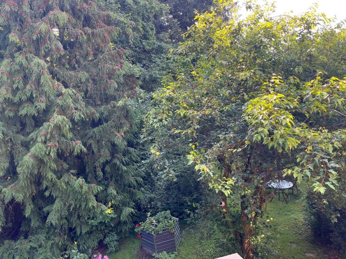 Forsthaus Neudorf Daire Harzgerode Dış mekan fotoğraf