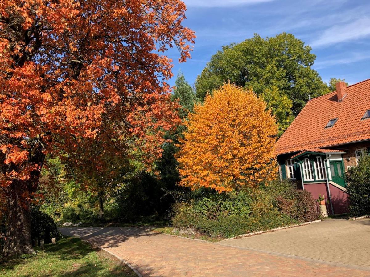 Forsthaus Neudorf Daire Harzgerode Dış mekan fotoğraf