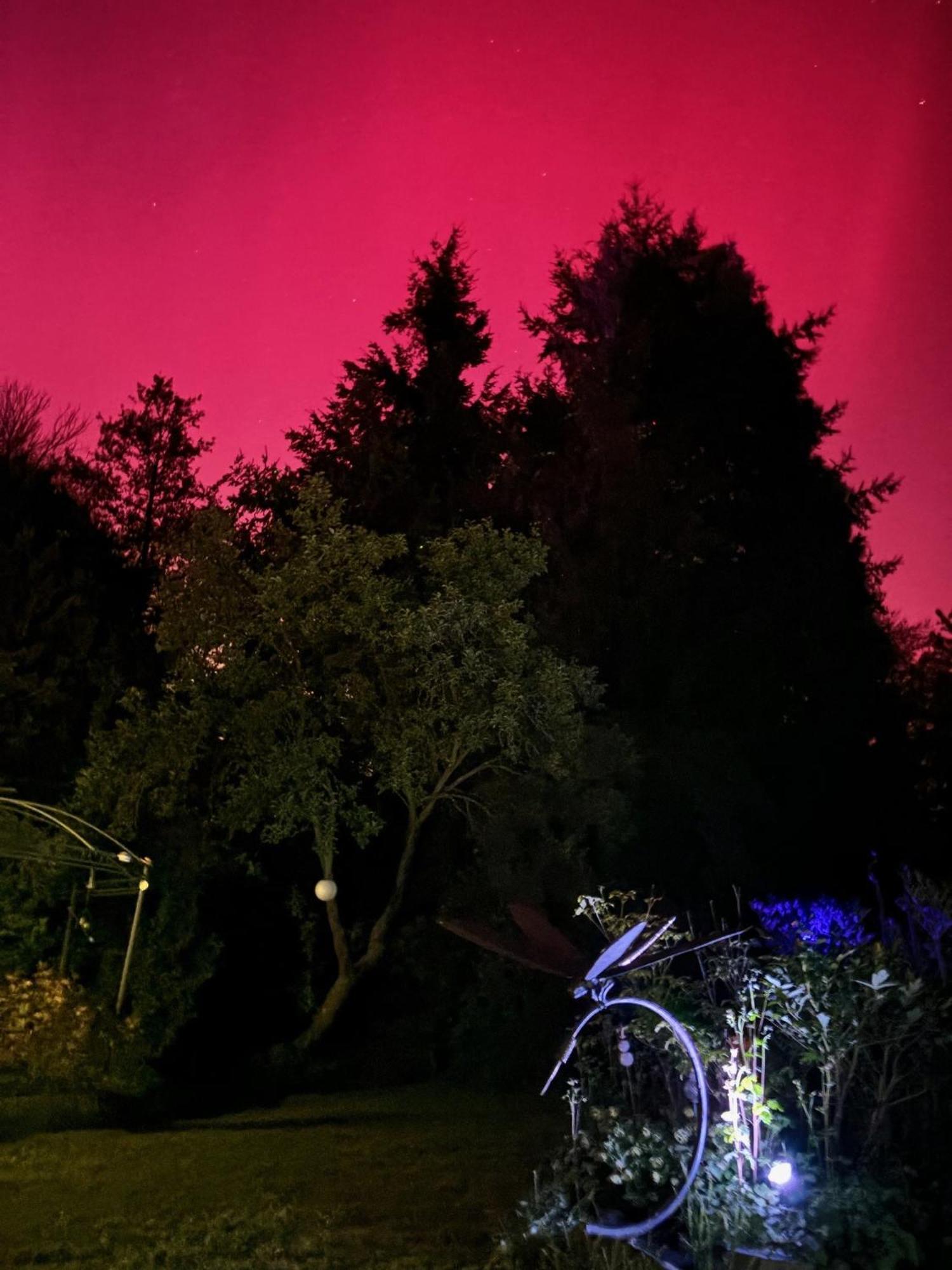 Forsthaus Neudorf Daire Harzgerode Dış mekan fotoğraf